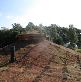 September 2021 Grass Roof