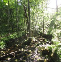 creek 